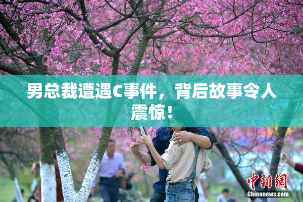 男总裁遭遇C事件，背后故事令人震惊！
