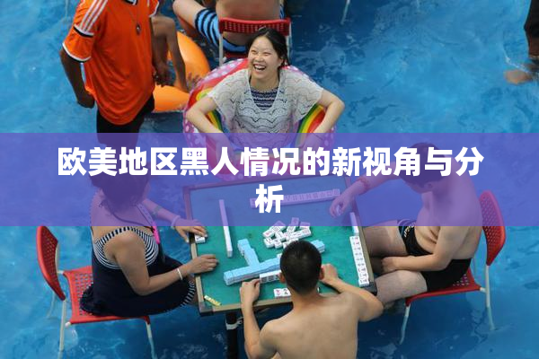 欧美地区黑人情况的新视角与分析