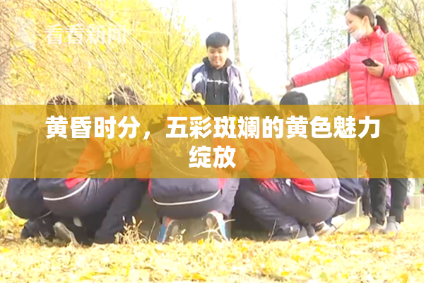 黄昏时分，五彩斑斓的黄色魅力绽放
