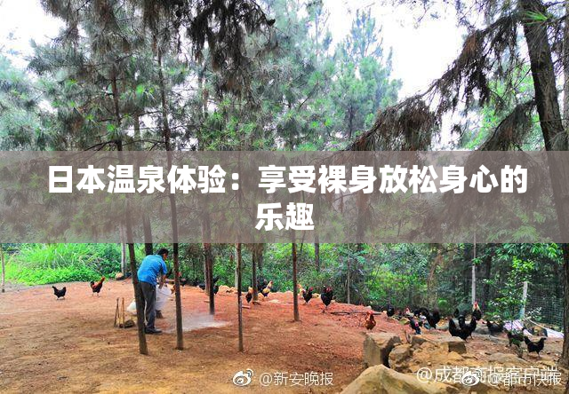 日本温泉体验：享受裸身放松身心的乐趣