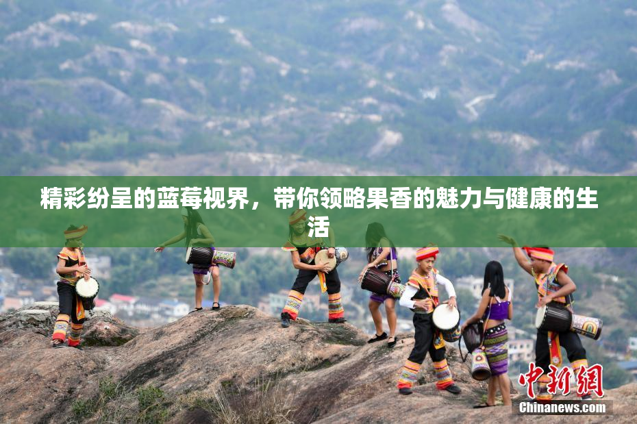 精彩纷呈的蓝莓视界，带你领略果香的魅力与健康的生活