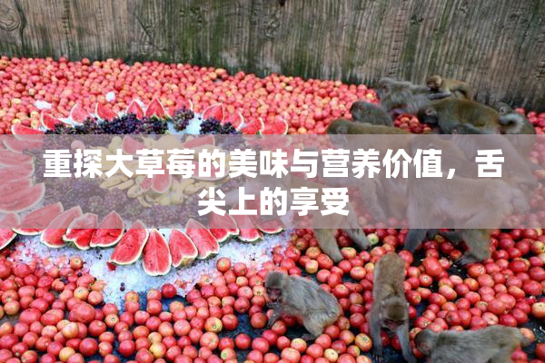 重探大草莓的美味与营养价值，舌尖上的享受