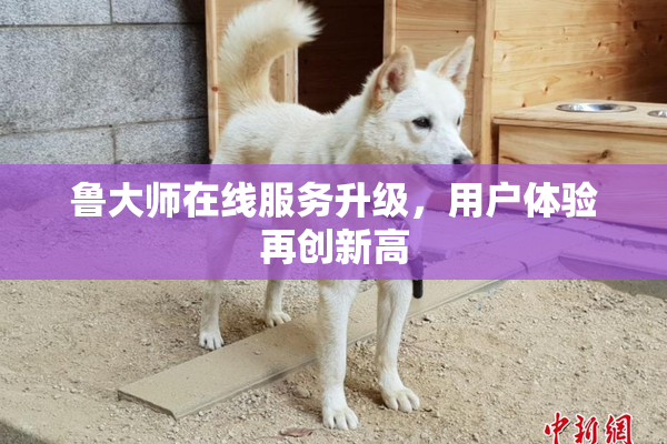 鲁大师在线服务升级，用户体验再创新高