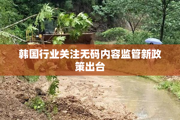 韩国行业关注无码内容监管新政策出台