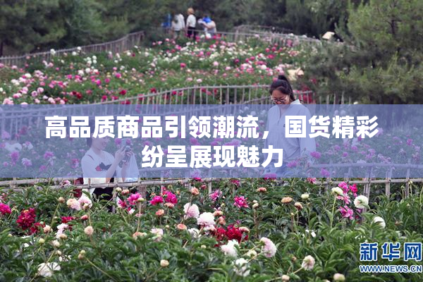 高品质商品引领潮流，国货精彩纷呈展现魅力