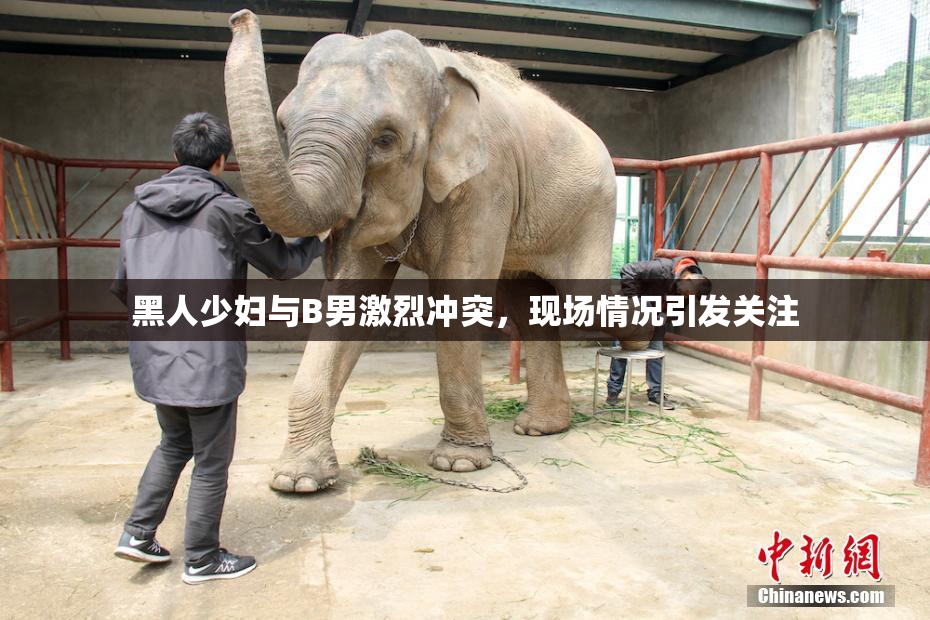 黑人少妇与B男激烈冲突，现场情况引发关注