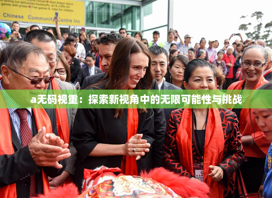a无码视重：探索新视角中的无限可能性与挑战