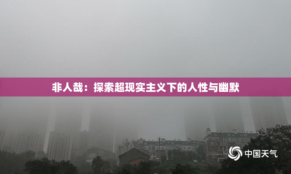 非人哉：探索超现实主义下的人性与幽默