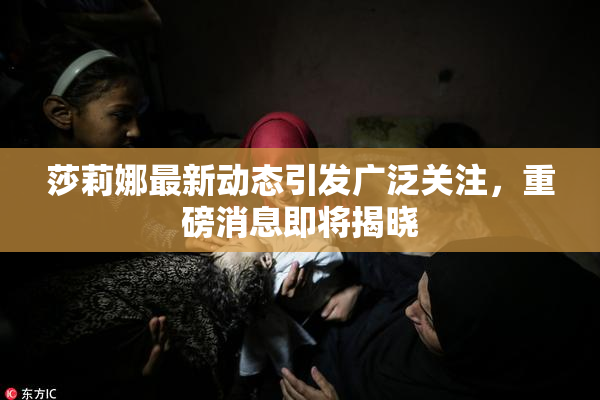 莎莉娜最新动态引发广泛关注，重磅消息即将揭晓