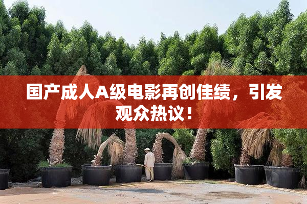 国产成人A级电影再创佳绩，引发观众热议！
