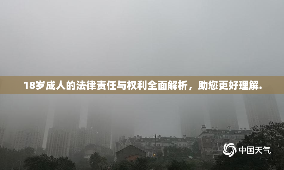 18岁成人的法律责任与权利全面解析，助您更好理解.