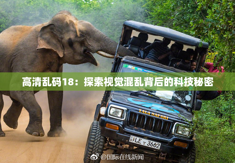 高清乱码18：探索视觉混乱背后的科技秘密