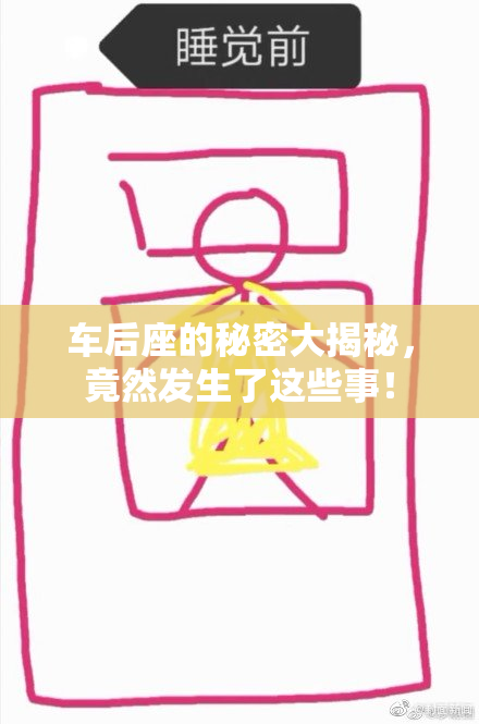 车后座的秘密大揭秘，竟然发生了这些事！