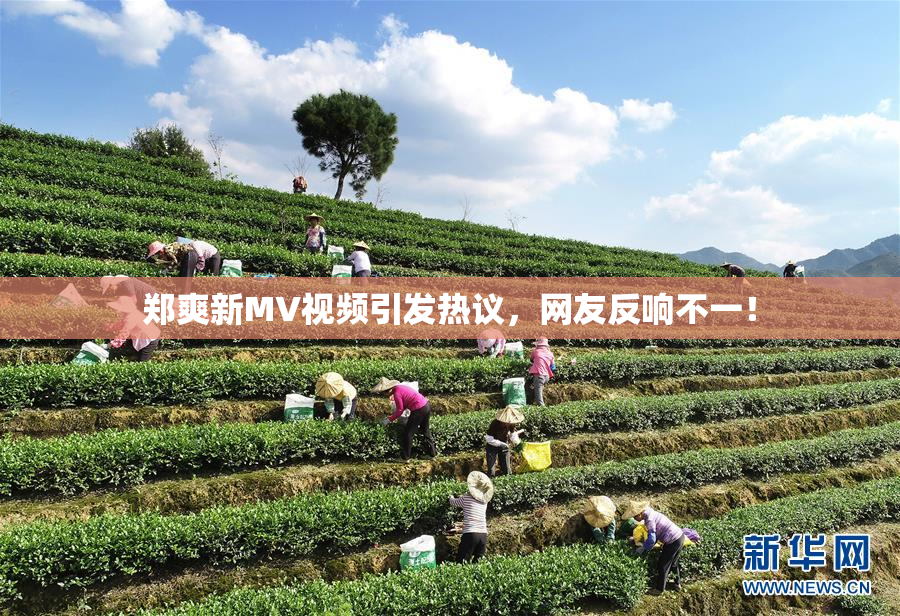 郑爽新MV视频引发热议，网友反响不一！