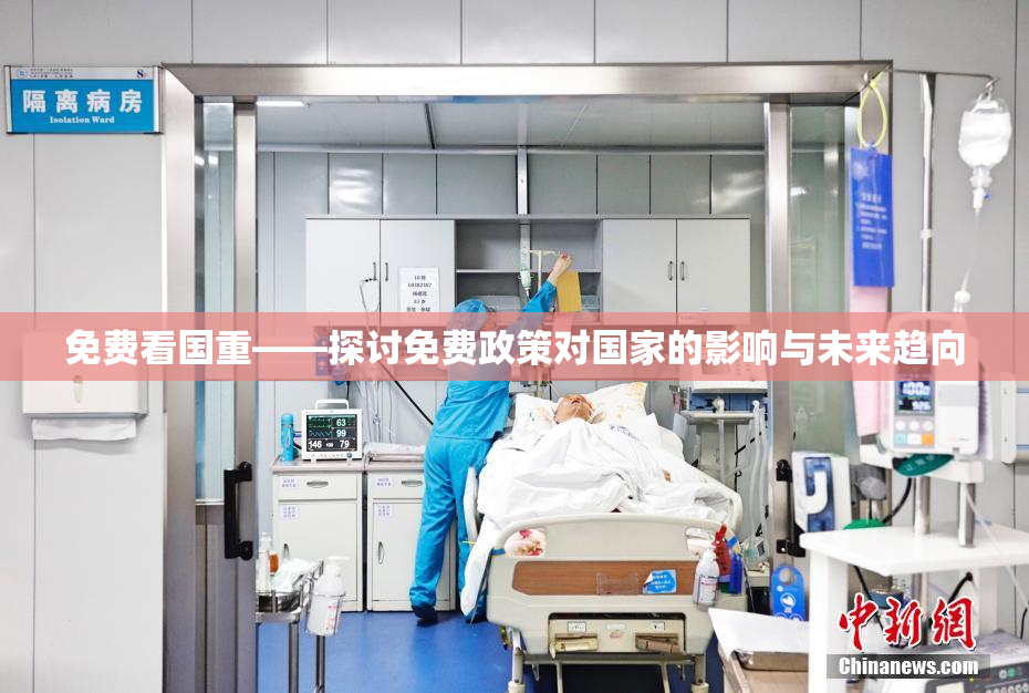 免费看国重——探讨免费政策对国家的影响与未来趋向