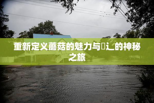 重新定义蘑菇的魅力与喿辶的神秘之旅