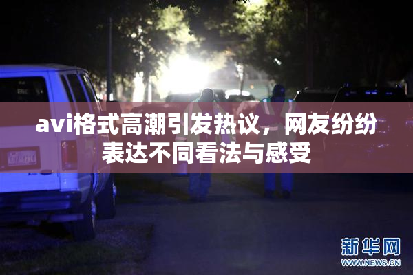 avi格式高潮引发热议，网友纷纷表达不同看法与感受