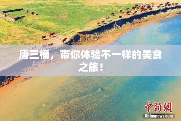 唐三桶，带你体验不一样的美食之旅！