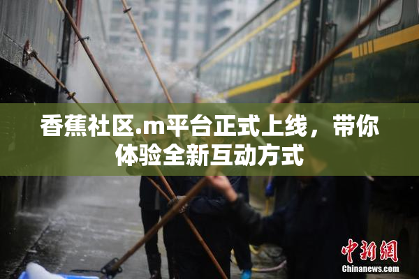 香蕉社区.m平台正式上线，带你体验全新互动方式
