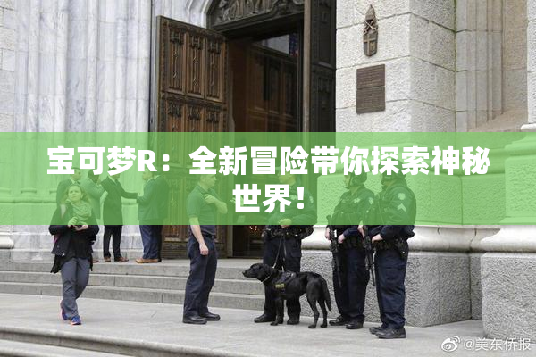 宝可梦R：全新冒险带你探索神秘世界！