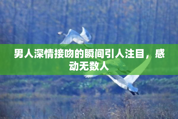 男人深情接吻的瞬间引人注目，感动无数人