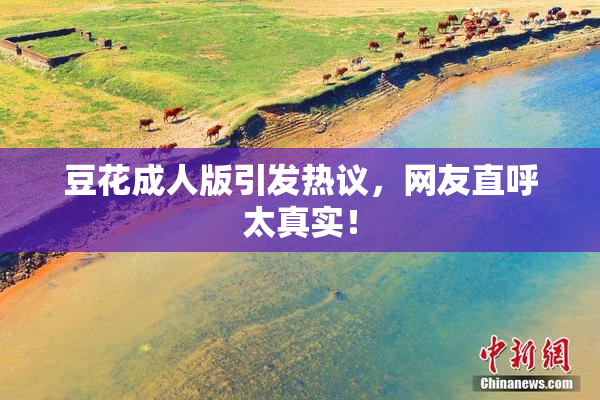 豆花成人版引发热议，网友直呼太真实！