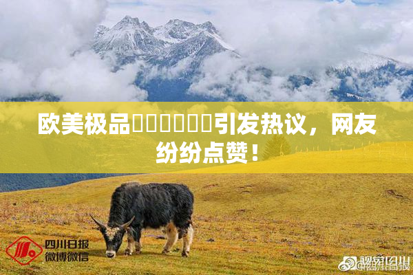 欧美极品❌‌❌‌❌‌引发热议，网友纷纷点赞！