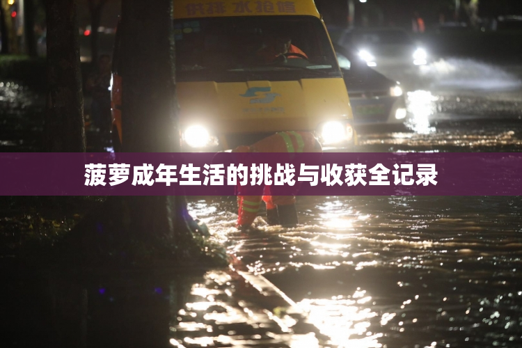 菠萝成年生活的挑战与收获全记录