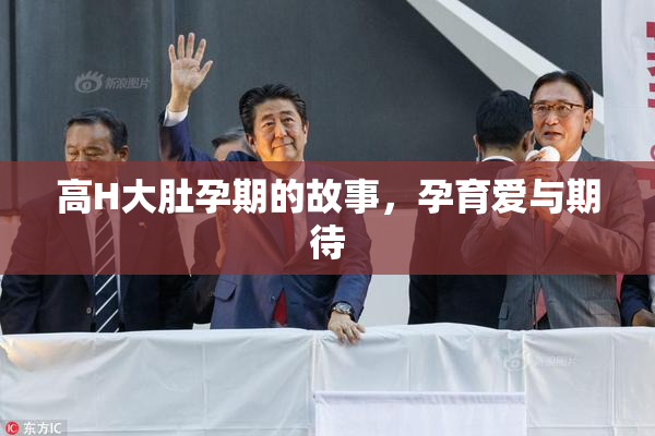 高H大肚孕期的故事，孕育爱与期待