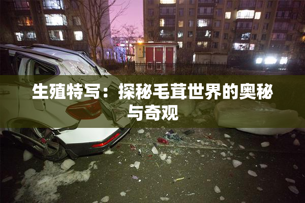 生殖特写：探秘毛茸世界的奥秘与奇观