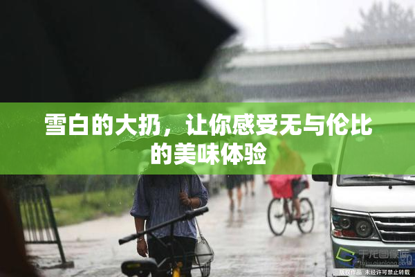 雪白的大扔，让你感受无与伦比的美味体验