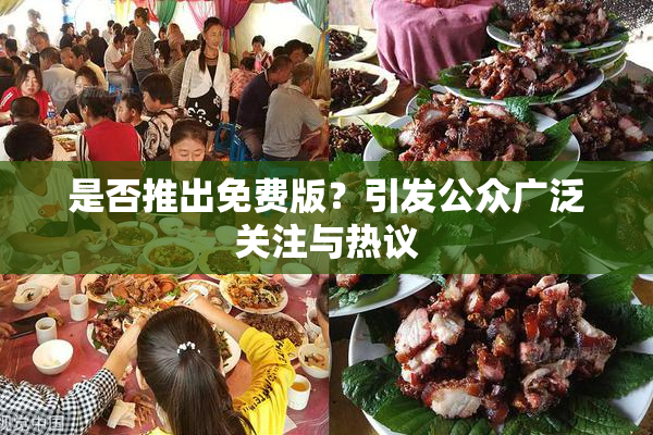 是否推出免费版？引发公众广泛关注与热议
