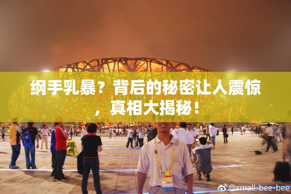 纲手乳暴？背后的秘密让人震惊，真相大揭秘！