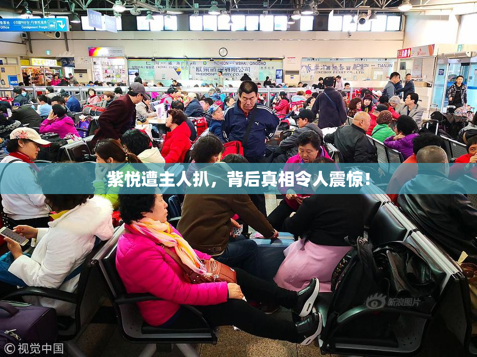 紫悦遭主人扒，背后真相令人震惊！