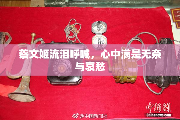 蔡文姬流泪呼喊，心中满是无奈与哀愁