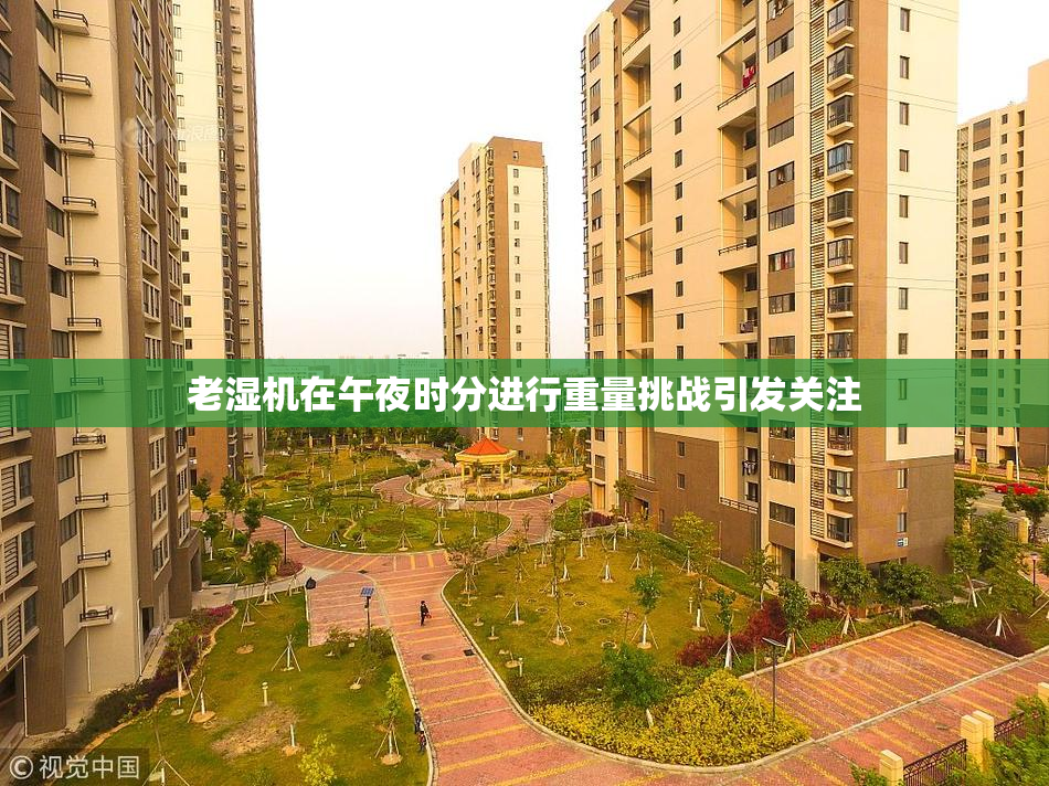 老湿机在午夜时分进行重量挑战引发关注