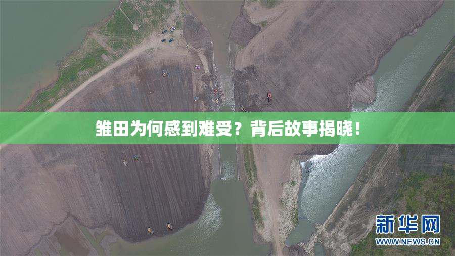 雏田为何感到难受？背后故事揭晓！