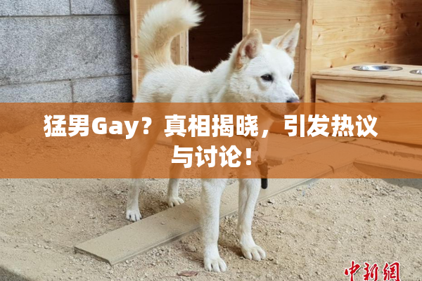 猛男Gay？真相揭晓，引发热议与讨论！