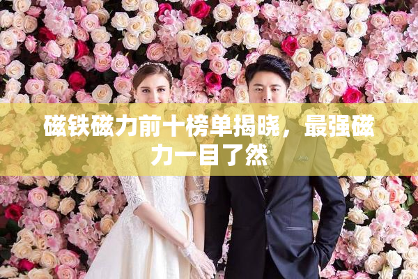 磁铁磁力前十榜单揭晓，最强磁力一目了然