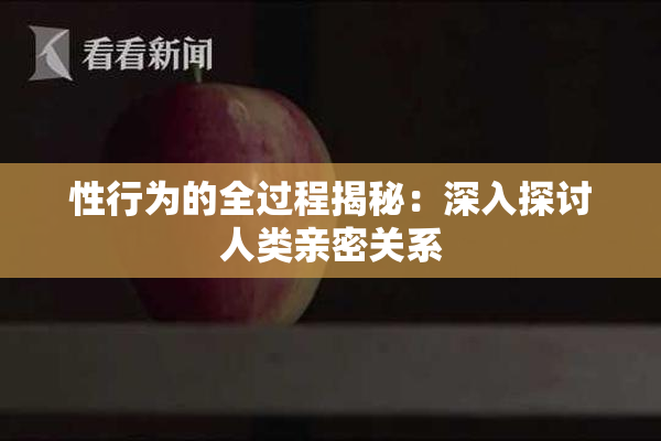 性行为的全过程揭秘：深入探讨人类亲密关系