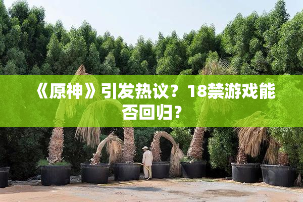 《原神》引发热议？18禁游戏能否回归？