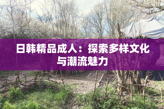 日韩精品成人：探索多样文化与潮流魅力