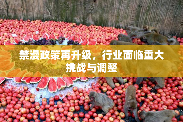 禁漫政策再升级，行业面临重大挑战与调整