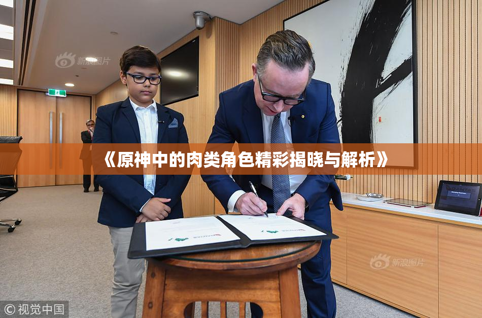 《原神中的肉类角色精彩揭晓与解析》