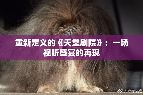 重新定义的《天堂剧院》：一场视听盛宴的再现