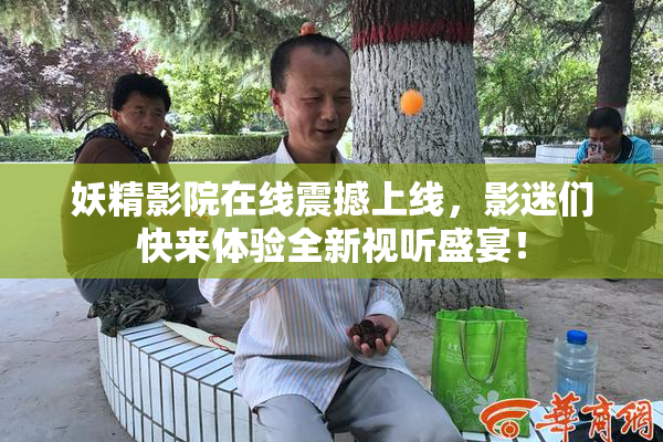 妖精影院在线震撼上线，影迷们快来体验全新视听盛宴！
