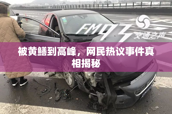 被黄鳝到高峰，网民热议事件真相揭秘