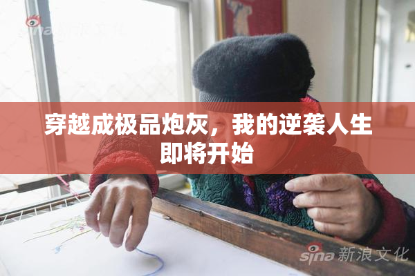 穿越成极品炮灰，我的逆袭人生即将开始