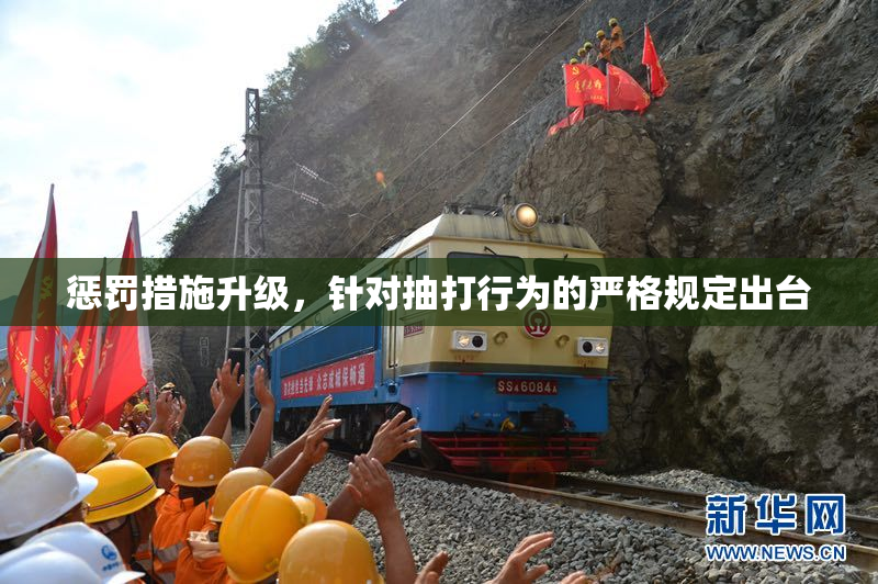 惩罚措施升级，针对抽打行为的严格规定出台