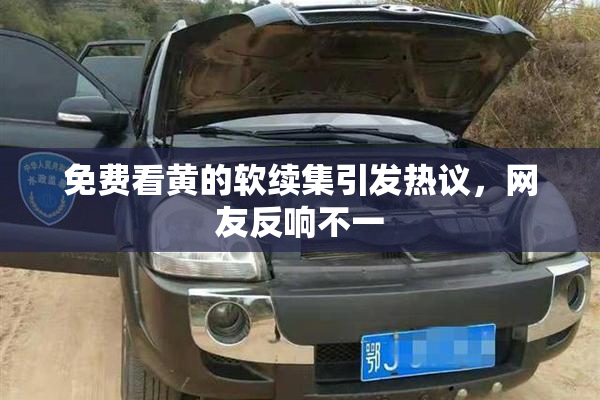 免费看黄的软续集引发热议，网友反响不一